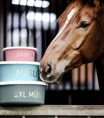 Bol à muesli XL avec couvercle - Waldhausen - 8L