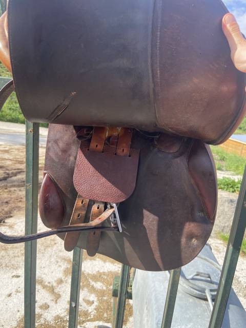 Selle Childéric + Etrivière CWD et sangle CWD