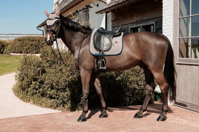 Tapis de selle Pied de Poule - Kentucky - Amorti et respirabilité