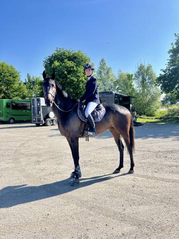 Top Cheval ps 5 ans 