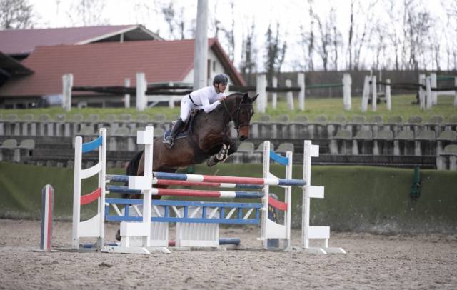 Cheval sport et loisir