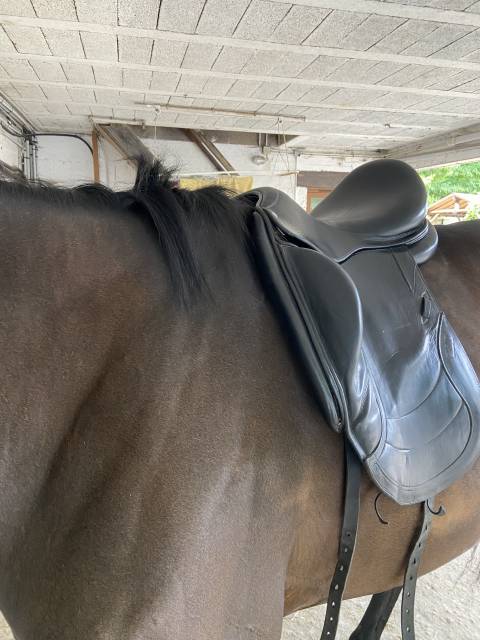 Selle de dressage CWD 18 pouces 