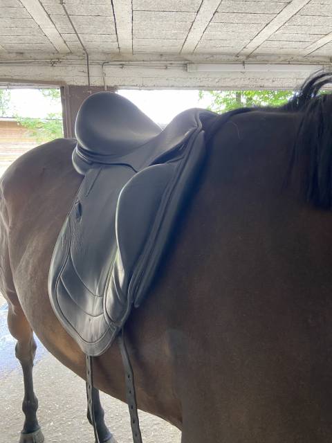 Selle de dressage CWD 18 pouces 