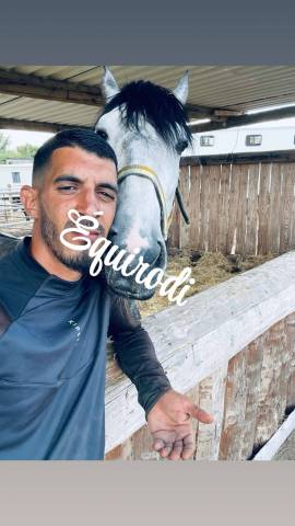 Sofien 36 ans Palefrenier pour un poste logé 