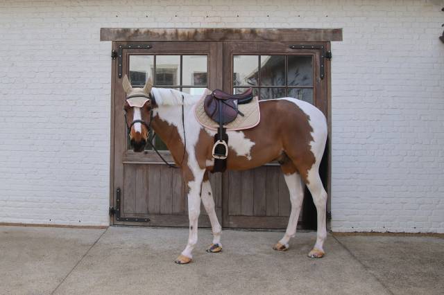 Tapis de selle softshell onion quilt mixte - Kentucky