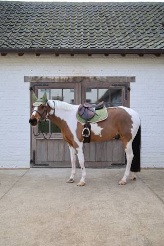 Tapis de selle softshell onion quilt mixte - Kentucky