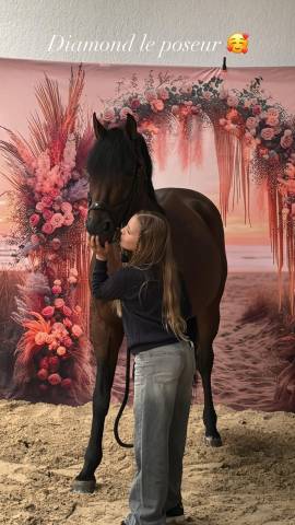 Top poney super professeur 