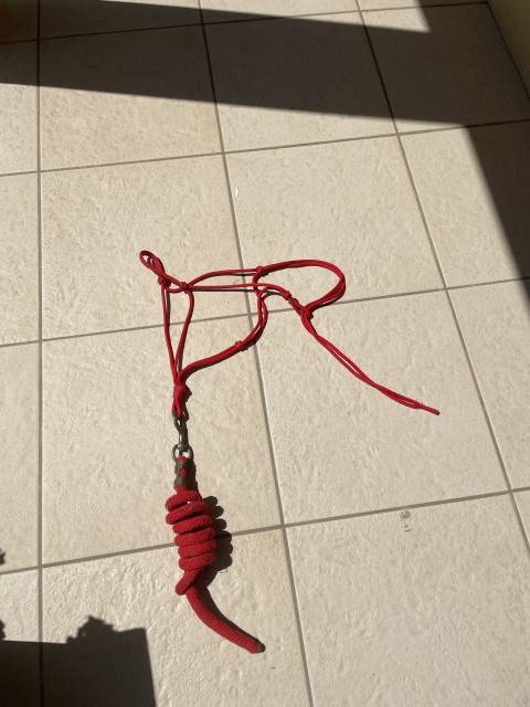 Licol en corde rouge avec longe
