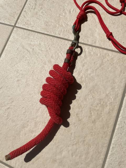 Licol en corde rouge avec longe