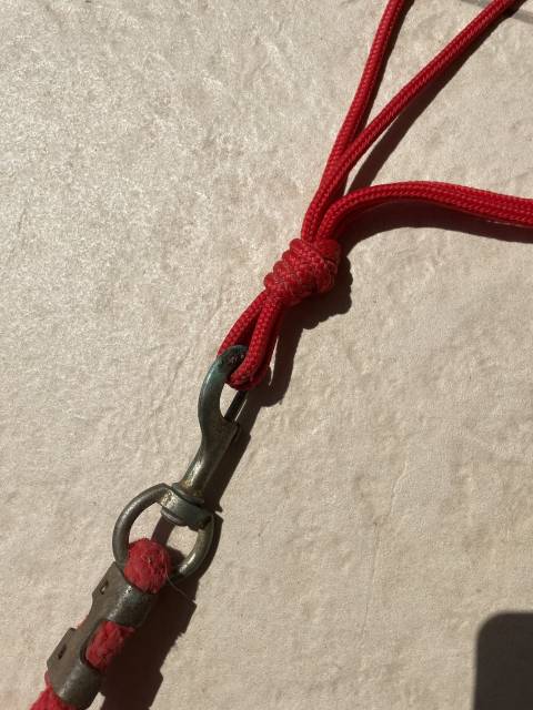 Licol en corde rouge avec longe