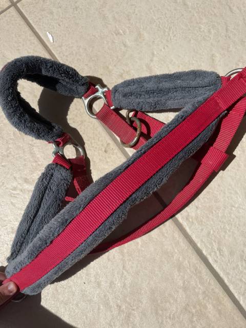 Licol rouge avec moumoute grise