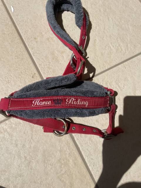 Licol rouge avec moumoute grise