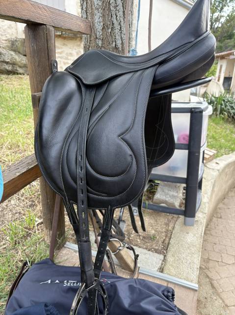 Selle Antares cadence