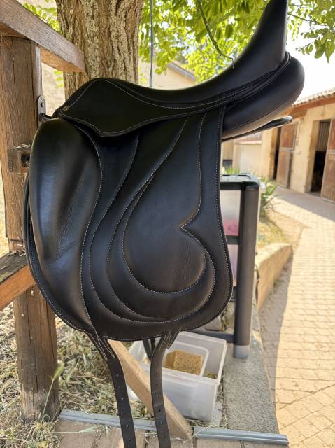 Selle Antares cadence