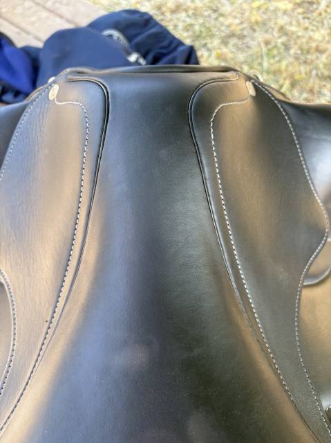 Selle Antares cadence