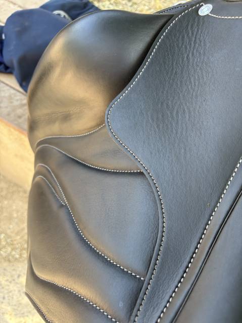 Selle Antares cadence