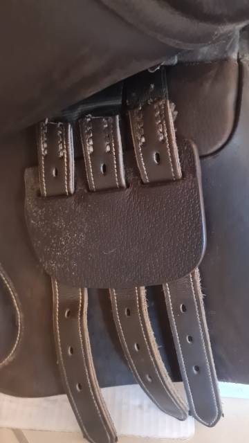 Selle Privilege 17 pouces 2018