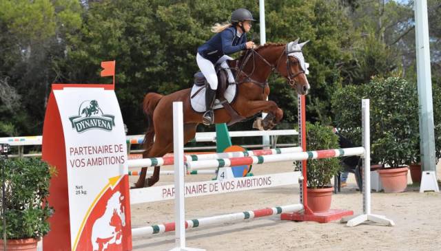 poney à prendre en demi-pension 