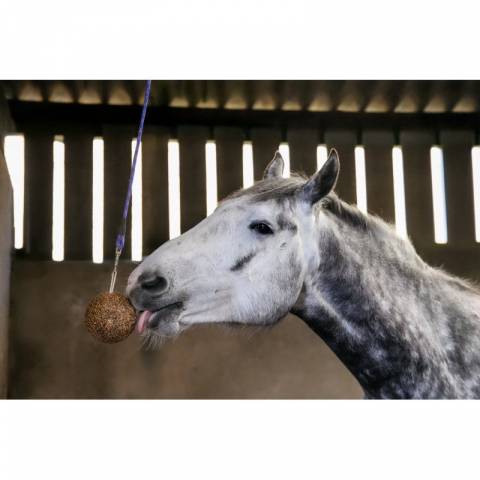 Pierre stall ball alléger complément alimentaire pomme - Likit