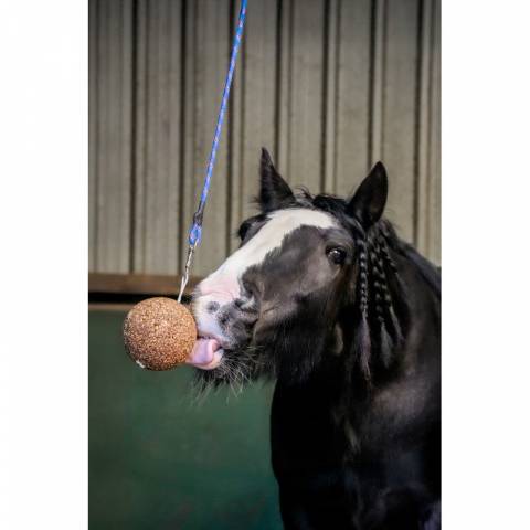 Pierre stall ball alléger complément alimentaire pomme - Likit