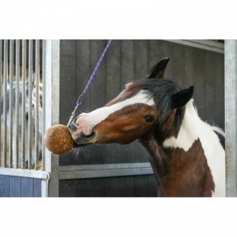 Pierre stall ball alléger complément alimentaire pomme - Likit