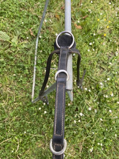 Collier de chasse 