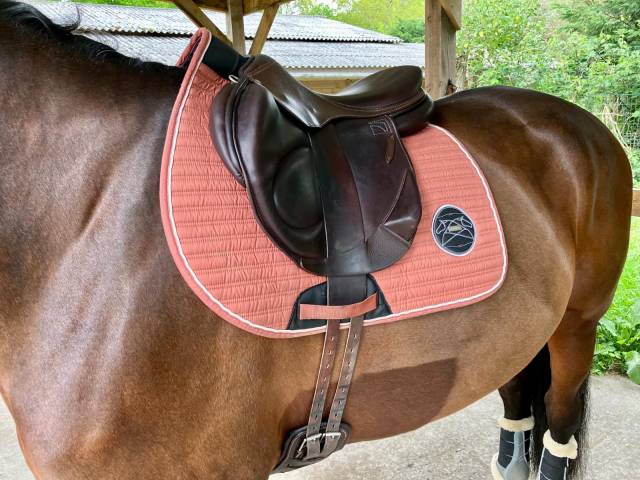 Selle Childeric monoquartier taille 18