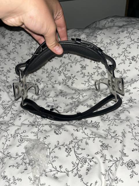 Hackamore