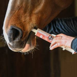 Seringue forme vitalité performance Natural'Top Flash - Natural'Innov