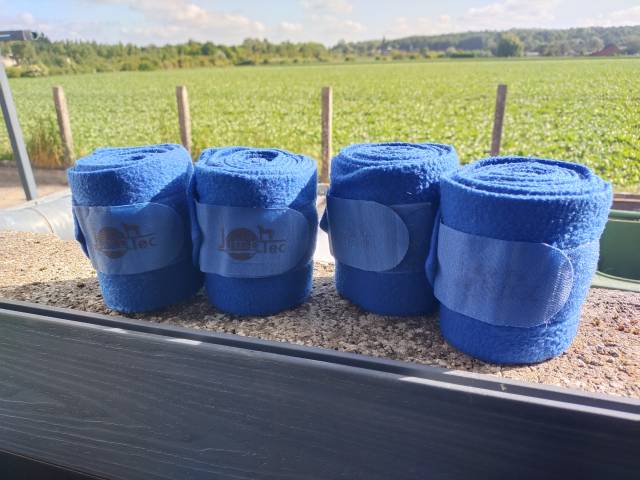 Bande de Polo bleu roi
