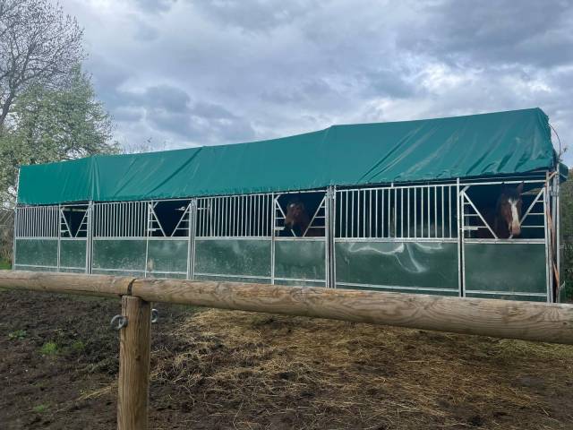 Boxes démontables Cheval Liberté