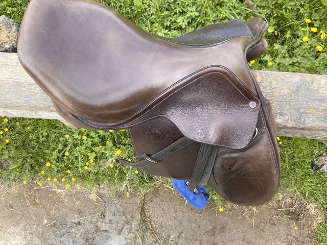 Selle mixte Gold Daslö Tattini