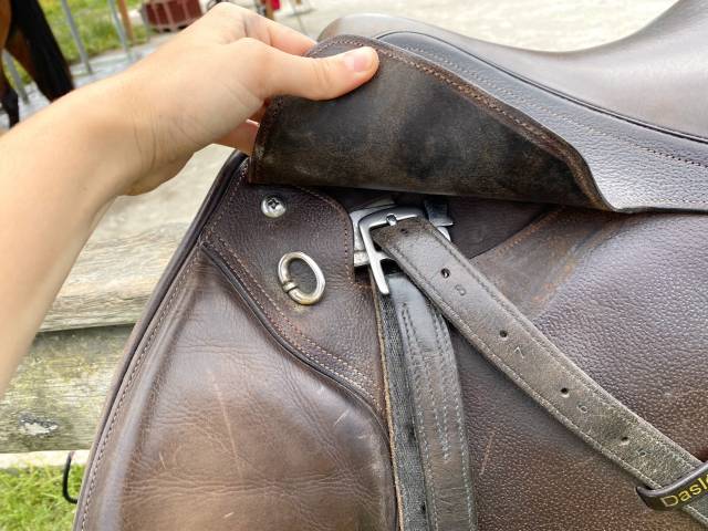 Selle mixte Gold Daslö Tattini