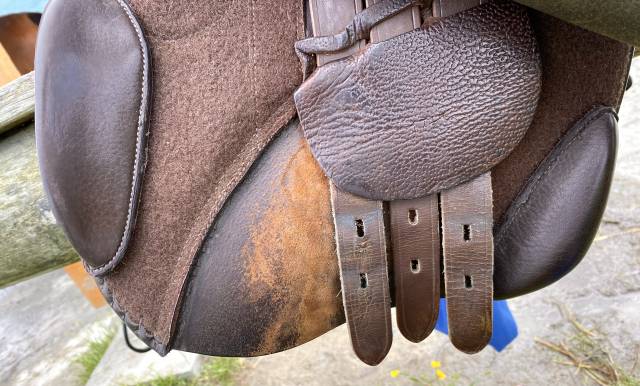 Selle mixte Gold Daslö Tattini