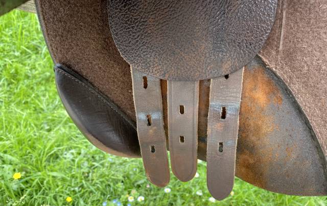 Selle mixte Gold Daslö Tattini