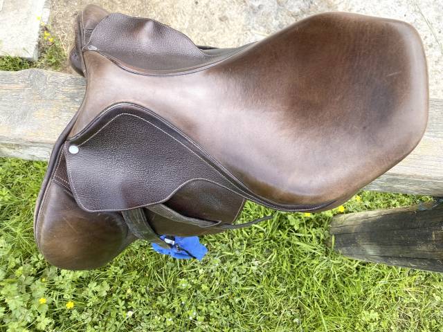 Selle mixte Gold Daslö Tattini