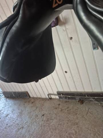 Selle prestige 