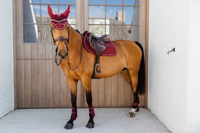 Guêtres élastiques velvet bamboo - Kentucky - coque EVA