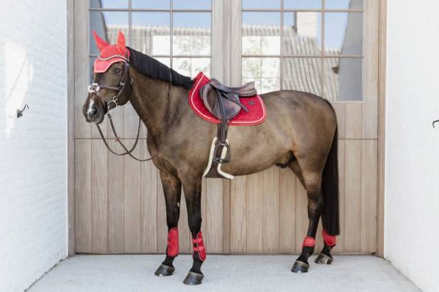 Guêtres élastiques velvet bamboo - Kentucky - coque EVA