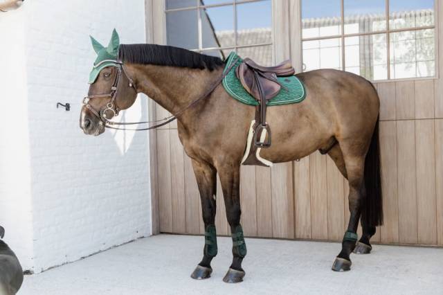 Guêtres élastiques velvet bamboo - Kentucky - coque EVA