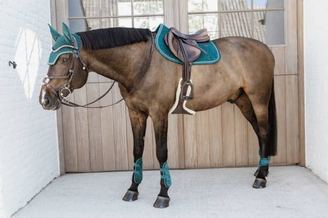 Guêtres élastiques velvet bamboo - Kentucky - coque EVA