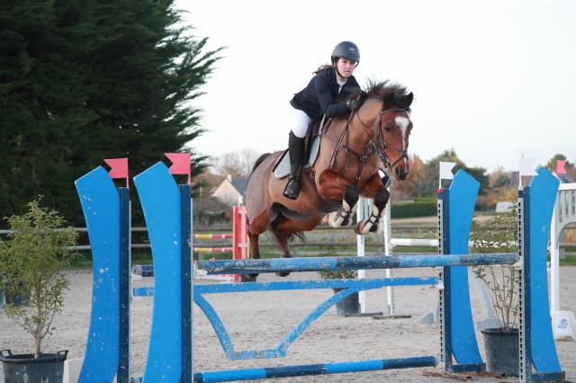 Poney à vendre Émir d’Avenir, hongre pfs
