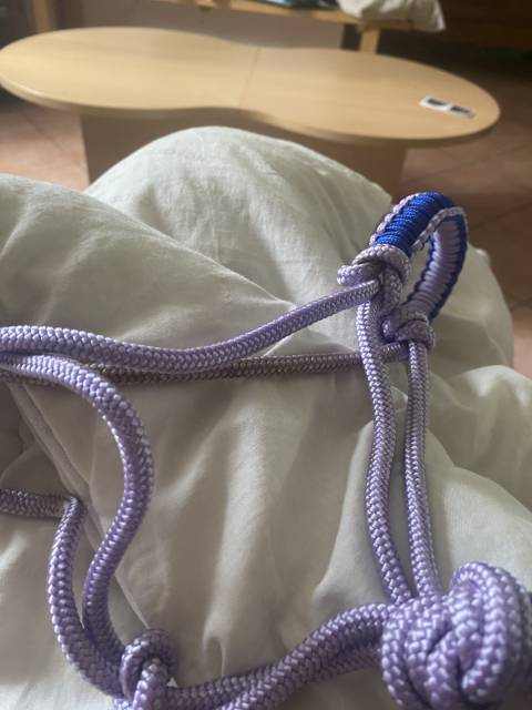 Licol étiologique de haute qualité