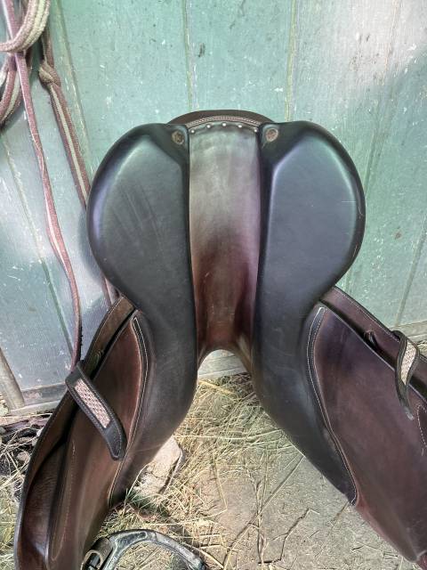 selle forestier séoul 