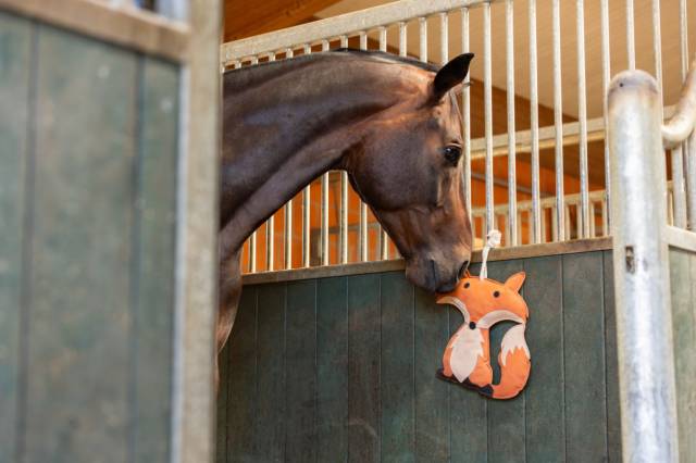 Jouet de box renard - Kerbl - matériaux résistants