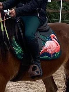 Tapis de selle original motif flamand rose