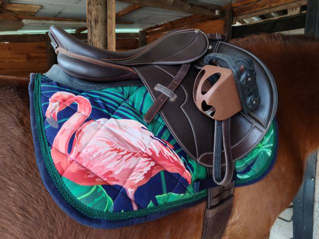 Tapis de selle original motif flamand rose