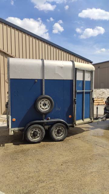 Van Ifor Williams 2 chevaux