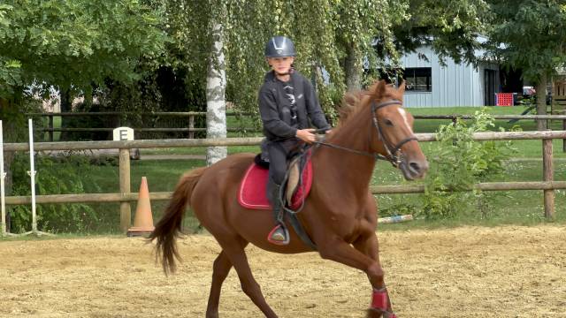 Jument TF 6 ans extra losirs balade et cso