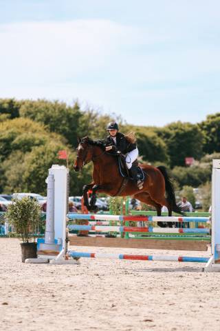Super petit cheval polyvalent